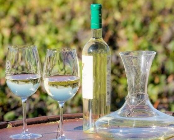 Iniciarán las II Jornadas Nacionales de Turismo del Vino